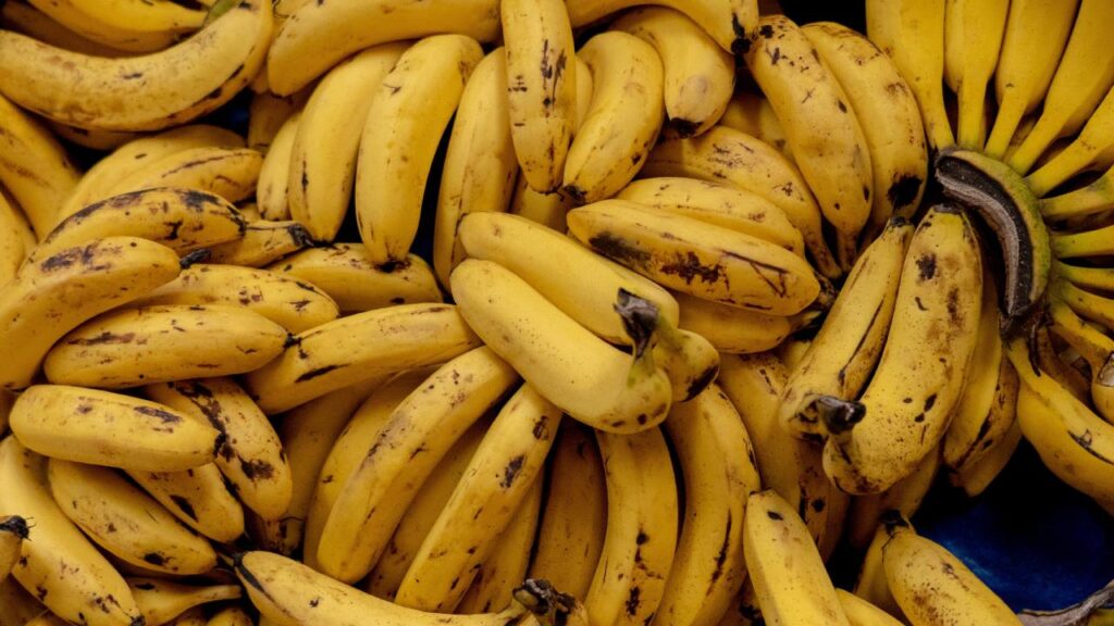 sequia cultivo banana