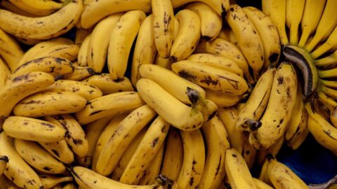 sequia cultivo banana