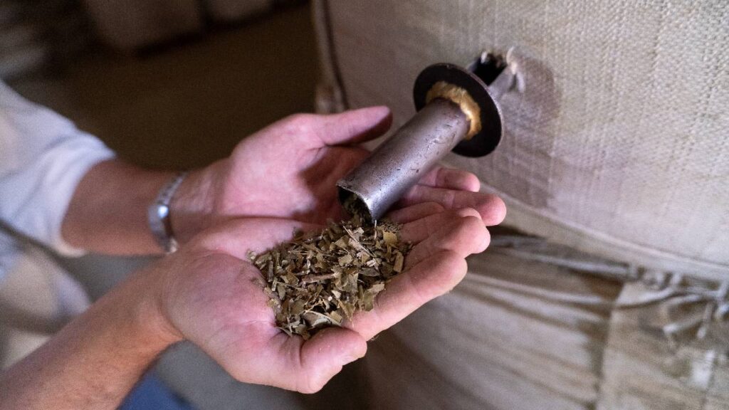 yerba mate