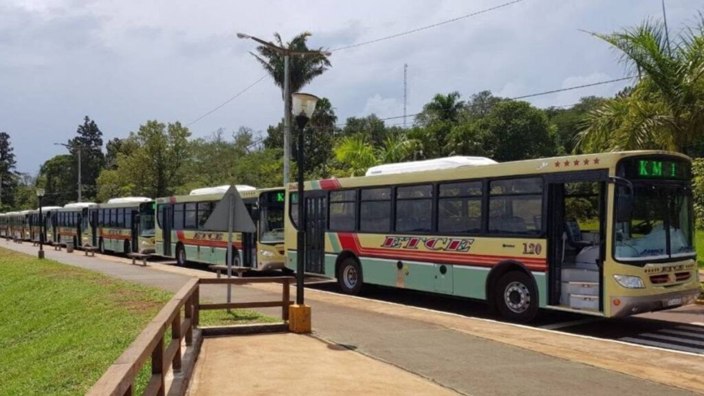 boleto gratuito viaje elecciones