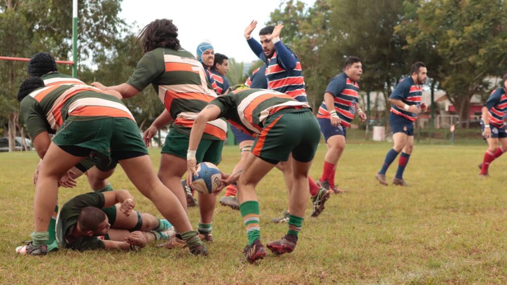 Partido rugby