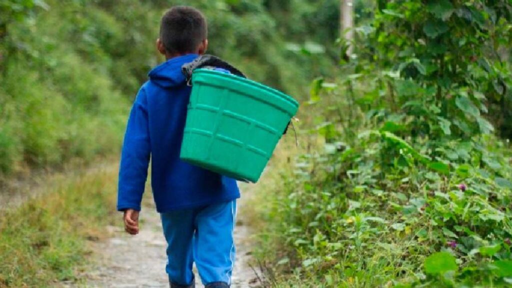 trabajo infantil misiones