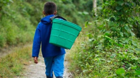 trabajo infantil misiones