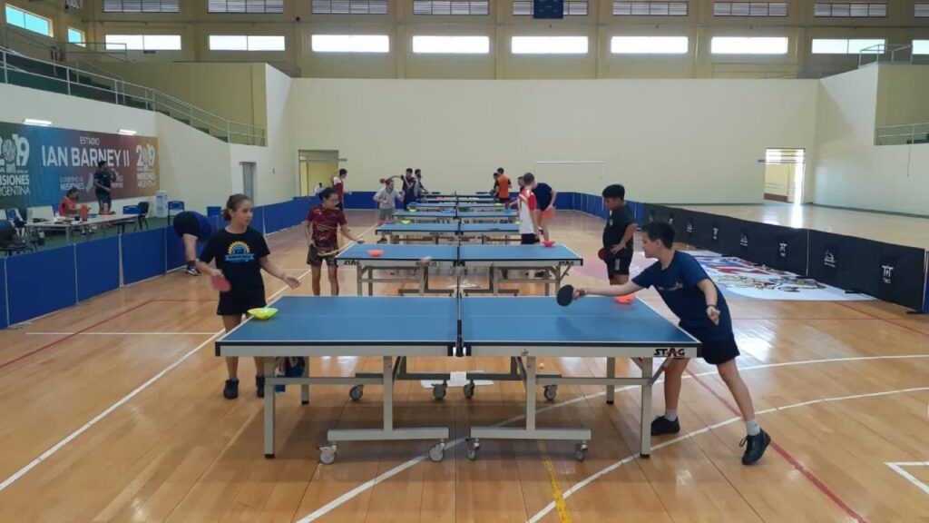 tenis de mesa
