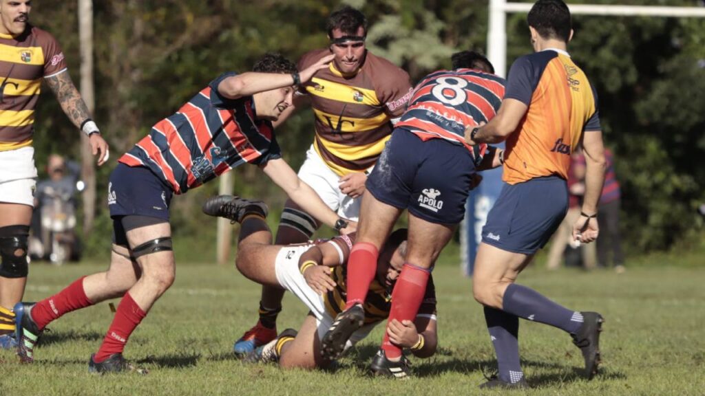 rugby