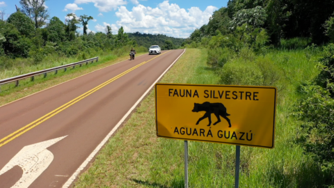 Iguazú cataratas