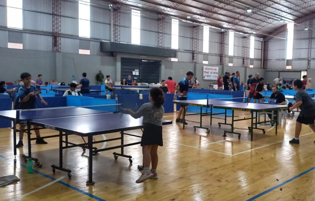 tenis de mesa