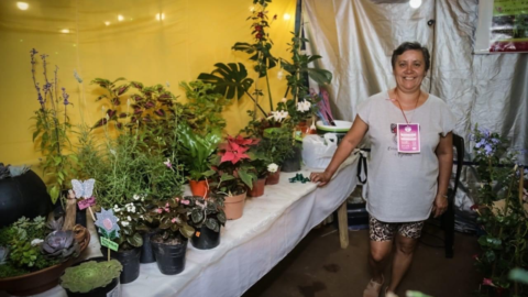 eldorado fiesta nacional emprendedurismo