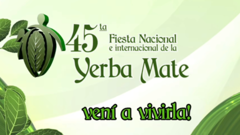 apostoles yerba mate