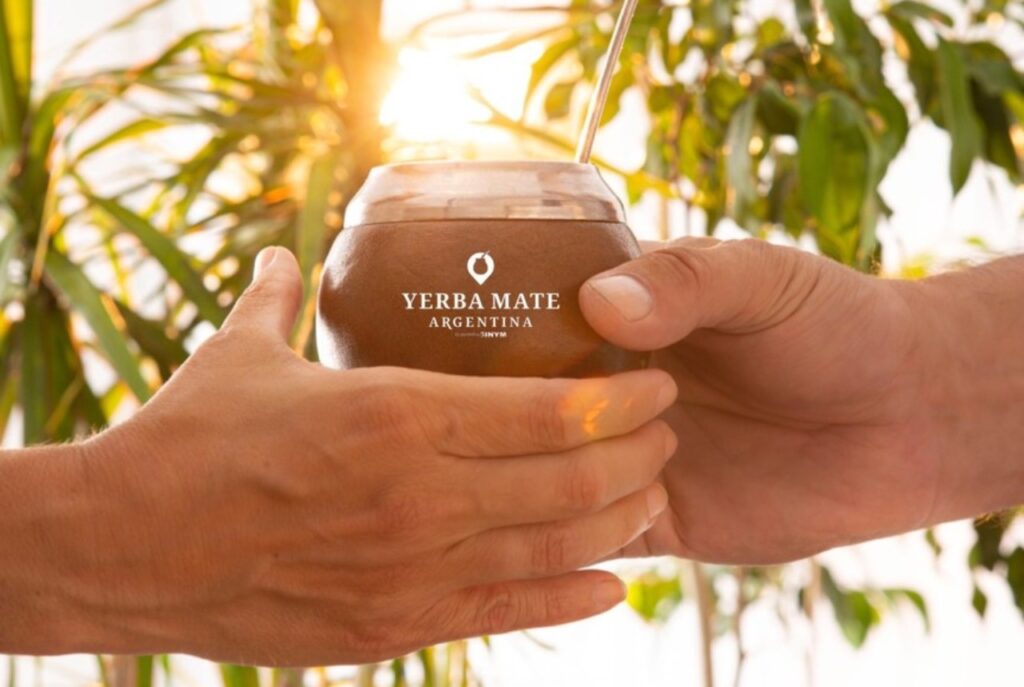 yerba mate