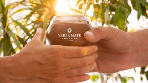 yerba mate