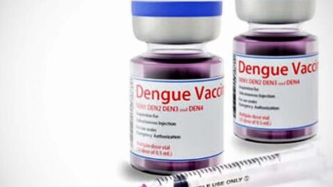 dengue