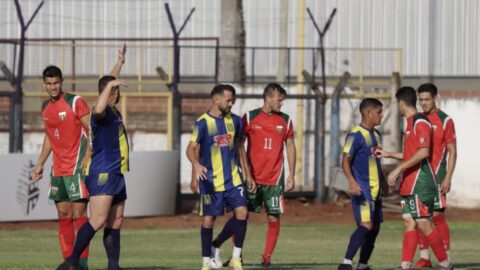 mitre brown regional amateur