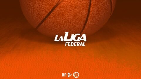 liga federal