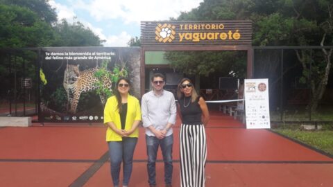 proyecto yaguarete