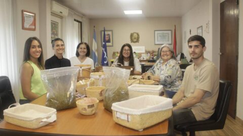 ministerio accion social