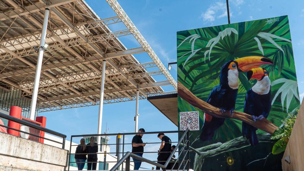 agua de las misiones