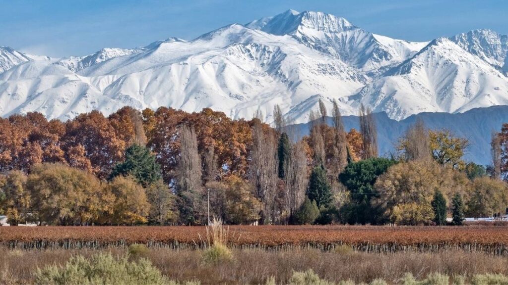 mendoza